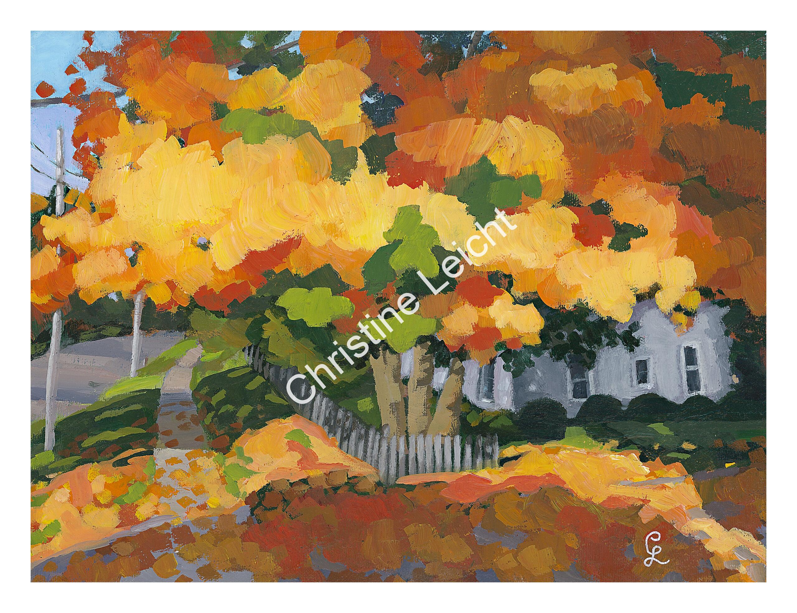 leicht_christine_blake_street leicht_christine_blake_street